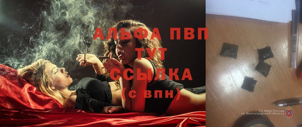 гидра Белоозёрский